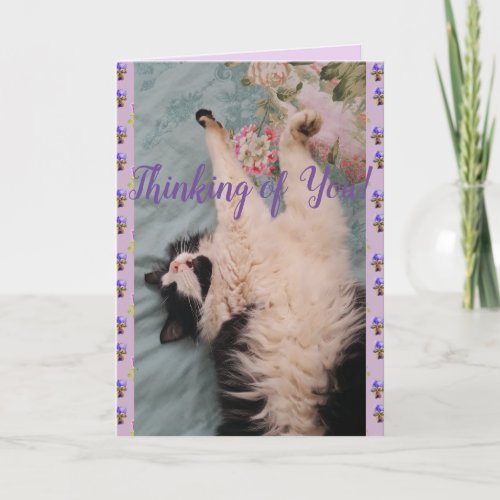 Tuxedo Cat Cute Funny Thinking of You Card