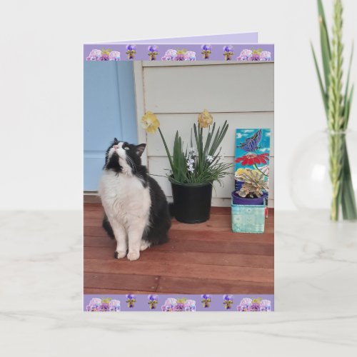 Tuxedo Cat Cute Funny Thinking of You Love Card