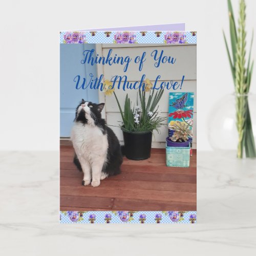 Tuxedo Cat Cute Funny Thinking of You Love Card