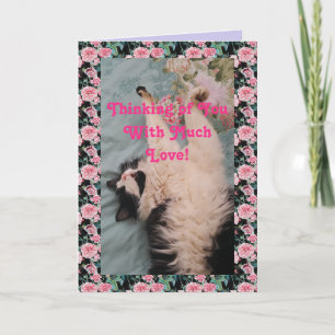 Tuxedo Cat Cute Funny Thinking of You Love Card