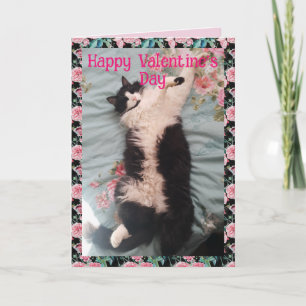 Tuxedo Cat Cute Funny Valentines Day Happy Dance Card