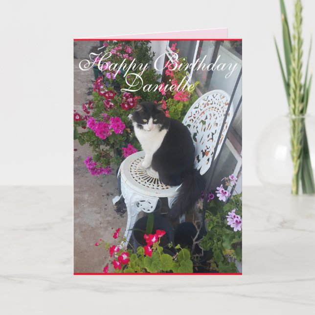 Tuxedo Cat Cute Pretty Flowers Cats Birthday Card (Front)