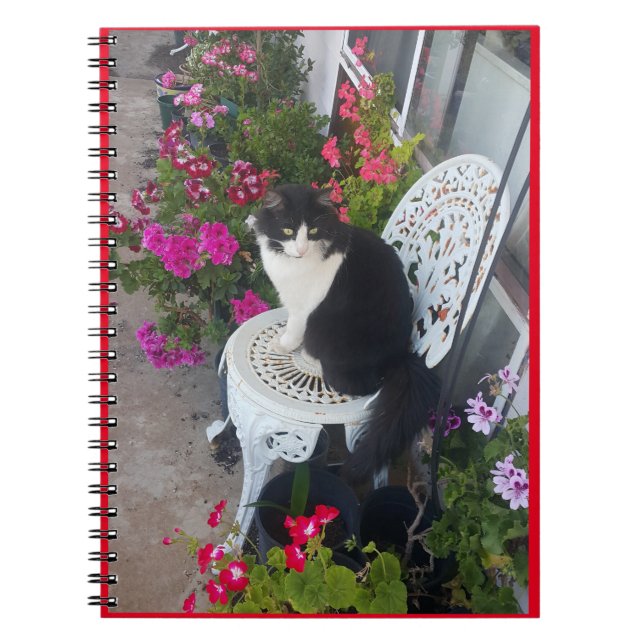 Tuxedo Cat Cute Pretty Flowers Cats Birthday Card Notebook (Front)