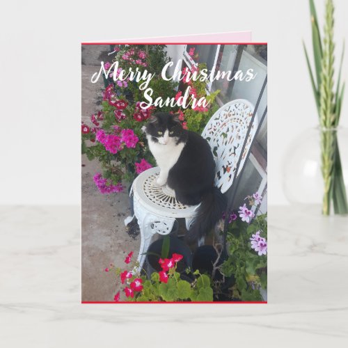 Tuxedo Cat Cute Pretty Flowers Cats Christmas Card