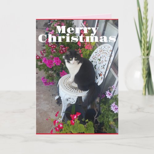Tuxedo Cat Cute Pretty Flowers Cats Christmas Card