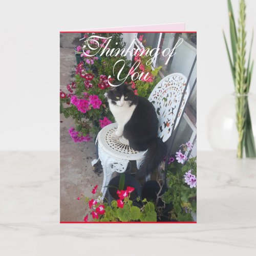 Tuxedo Cat Cute Pretty Flowers Cats Thinking Card