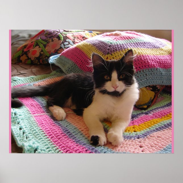Tuxedo Cat Cute Sleeping Crochet Rug cats Poster (Front)