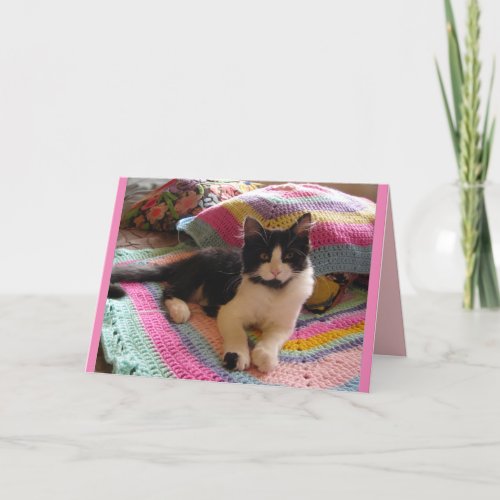 Tuxedo Cat Cute Sleeping on Crochet Rug cats Card