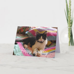 Tuxedo Cat Cute with Pretty Crochet Rug Card