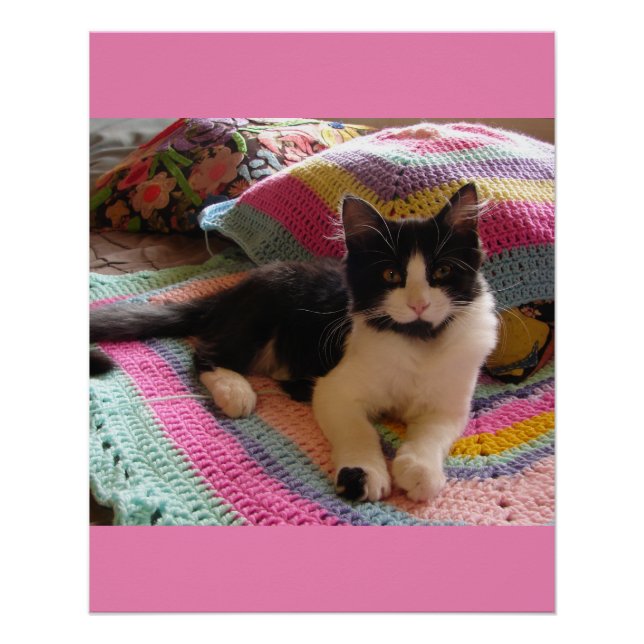 Tuxedo Cat Cute with Pretty Crochet Rug Pink Girls Poster (Front)