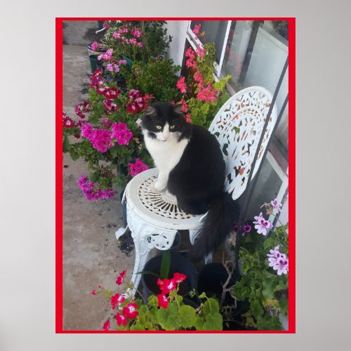 Tuxedo Cat Cute with Pretty Flowers Black Cats Poster