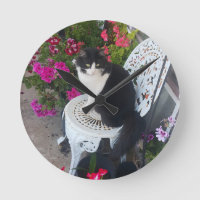 Tuxedo Cat Cute with Pretty Flowers Black Cats