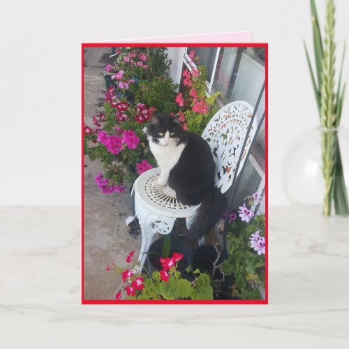 Tuxedo Cat Cute with Pretty Flowers Thank You Card