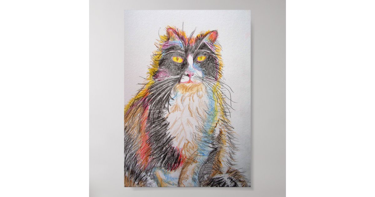tuxedo cat drawing