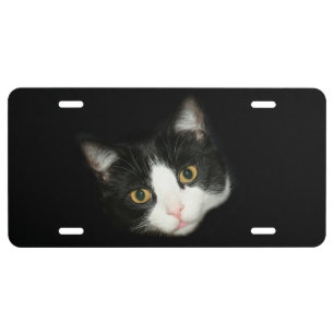 Tuxedo cat face license plate