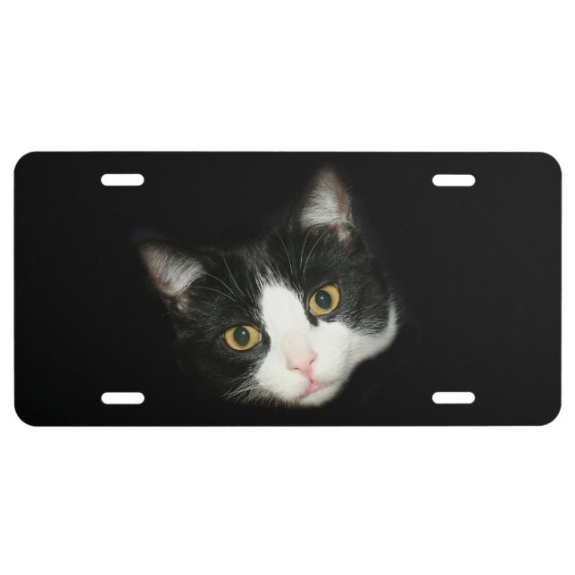 Tuxedo cat face license plate (Front)