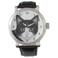 Tuxedo cat face