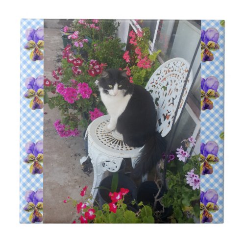 Tuxedo Cat flower Funny Cats viola Ceramic Tile