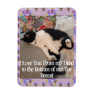 Tuxedo Cat Funny Love You Quote cats Magnet