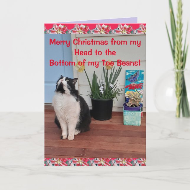 Tuxedo Cat Funny Merry Christmas Toe Bean Card (Front)