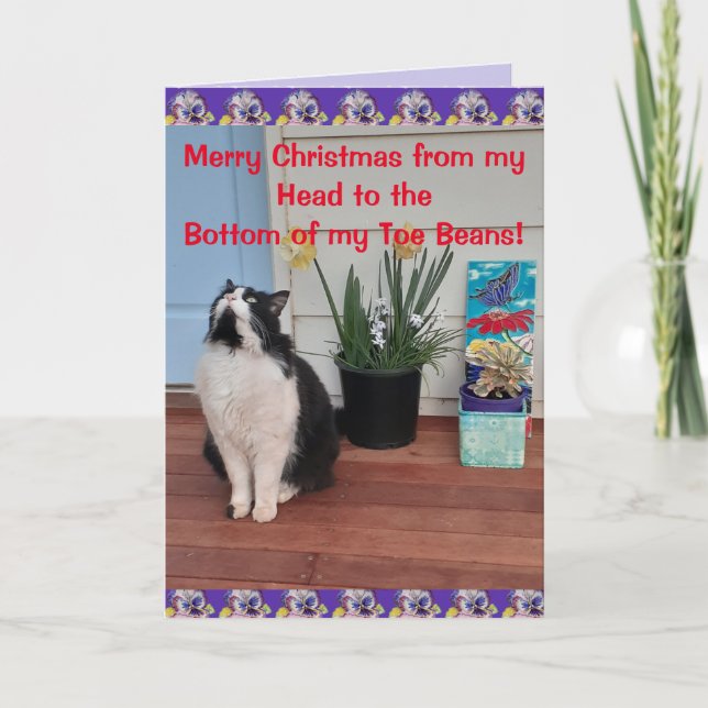 Tuxedo Cat Funny Merry Christmas Toe Bean Card (Front)