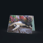 Tuxedo Cat Funny Mexican Wave Cute Birthday Card<br><div class="desc">Tuxedo Cat Funny Mexican Wave Cute Birthday Card. Designed from one of my original photos,  enjoy!</div>