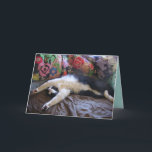 Tuxedo Cat Funny Mexican Wave Cute Birthday Card<br><div class="desc">Tuxedo Cat Funny Mexican Wave Cute Birthday Card. Designed from one of my original photos,  enjoy!</div>