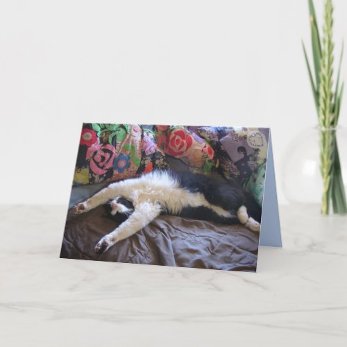 Tuxedo Cat Funny Mexican Wave Cute Birthday Card