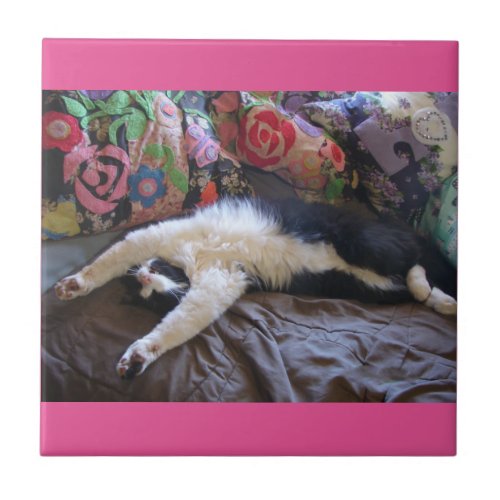 Tuxedo Cat Funny Mexican Wave Cute Birthday Ceramic Tile