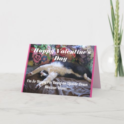Tuxedo Cat Funny Mexican Wave Cute Valentines Day Card
