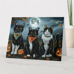 Tuxedo Cat Halloween Spooky Card