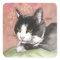 Tuxedo Cat