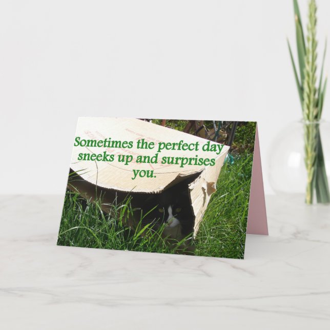 Tuxedo Cat Hiding Perfect Day Quote Card (Front)