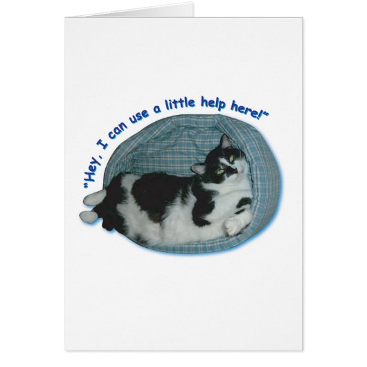 Tuxedo Cat Humor (Front)