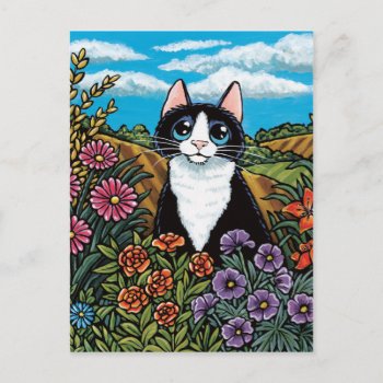 Tuxedo Cat In A Flower Field Meadow Postcard by LisaMarieArt at Zazzle