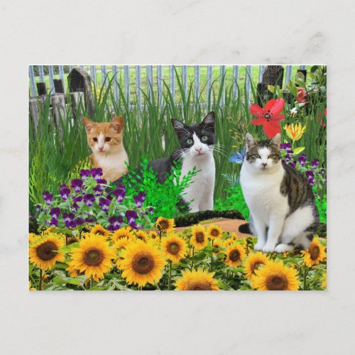 Tuxedo Cat in Flower Garden  Collage Art Postcard