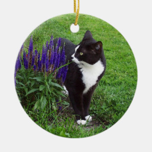 Tuxedo Cat in Garden ornament