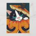 Tuxedo Cat in Pumpkin Halloween Postcard