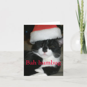 Tuxedo Cat in Santa Hat Holiday Card