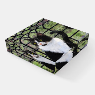 Tuxedo Cat in Window Painting Original Animal Art Paperweight