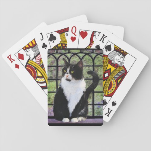 Tuxedo Cat in Window Painting Original Animal Art Playing Cards