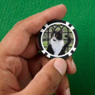 Tuxedo Cat in Window Painting Original Animal Art Poker Chips
