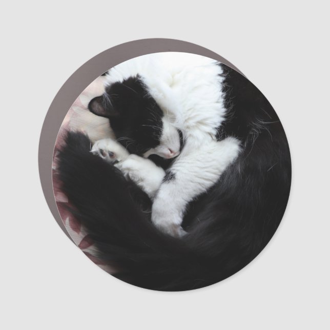 Tuxedo Cat Kitty Cats Black and White Caturday     Car Magnet (Front)