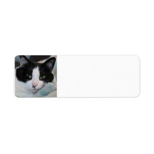 Tuxedo Cat Label