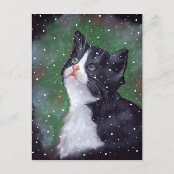 Tuxedo Cat Looking Up At Snowflakes  Painting Postcard by joyart at Zazzle