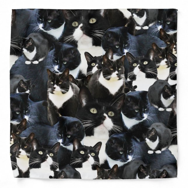 Tuxedo Cat Madness Bandana (Front)