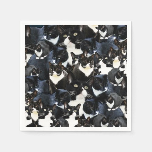 Tuxedo Cat Madness Napkins