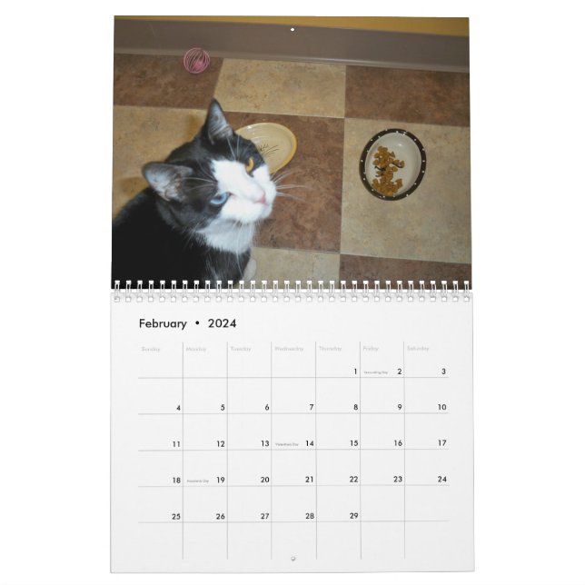 Tuxedo Cat "Molly" Calendar | Zazzle