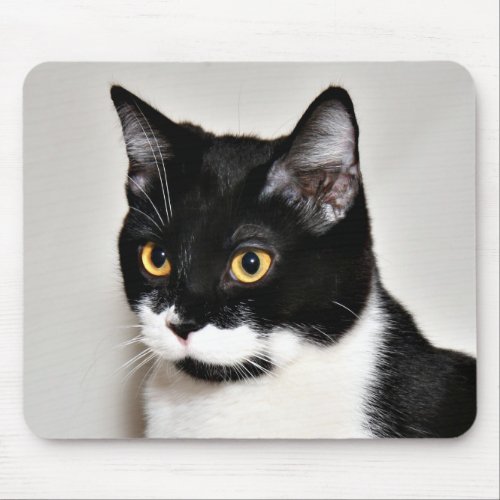 Tuxedo cat mouse pad