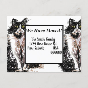 Tuxedo Cat New Address Postcard, We Are Moving Postcard